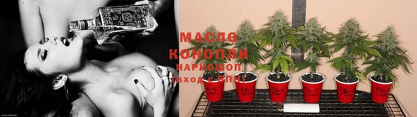 молекула духа Михайловск