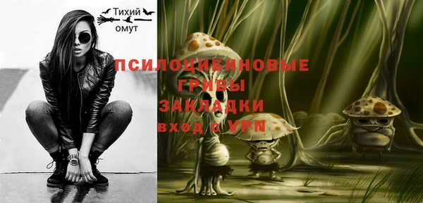 прущие грибы Навашино